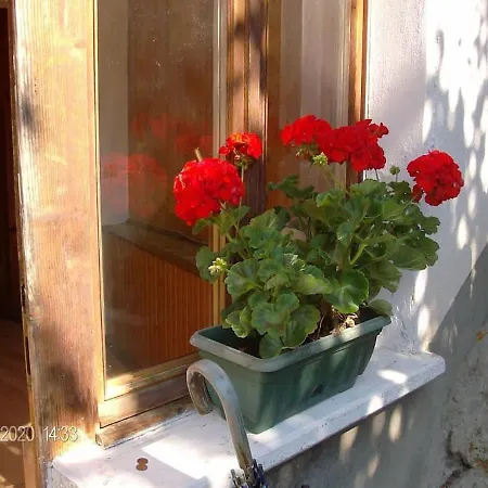 Apartmán Casa Da Paolo E Maria Falcade
